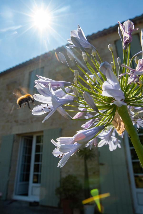 Gite Entre Bordeaux Et Saint-Emilion Génissac Exteriér fotografie